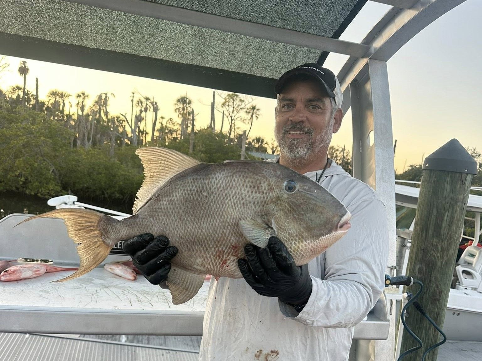 Frequensea Charters